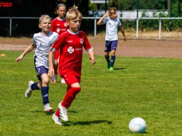 Hillen Cup 2024
